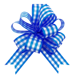 Royal Blue Gingham Bows