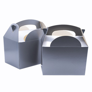 Silver Children's Meal Boxes
