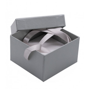 Silver Accessory Small Boxes