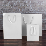 White Gloss Paper Carrier Bags