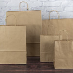 Brown Twisted Handle Paper Carrier Bags
