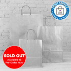 180mm Silver Paper Carrier Bags Twisted Handles