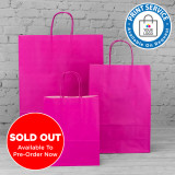 180mm Fuchsia Twisted Handle Paper Carrier Bags