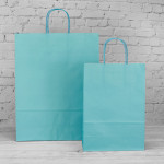 Turquoise Paper Carrier Bags